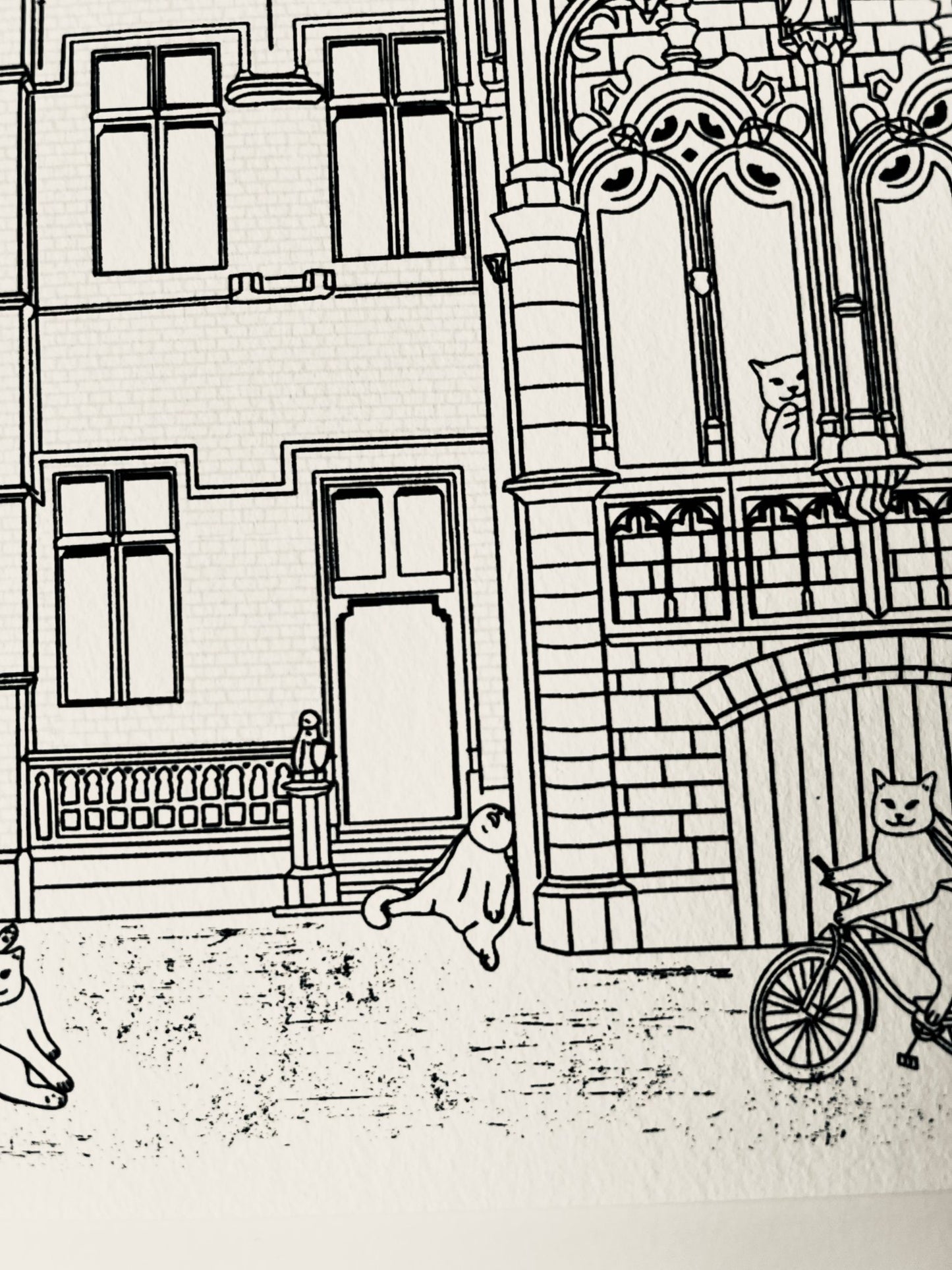 "Schepenhuis in Aalst" - Art Print - Catnip